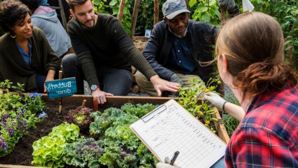 People farming and planting